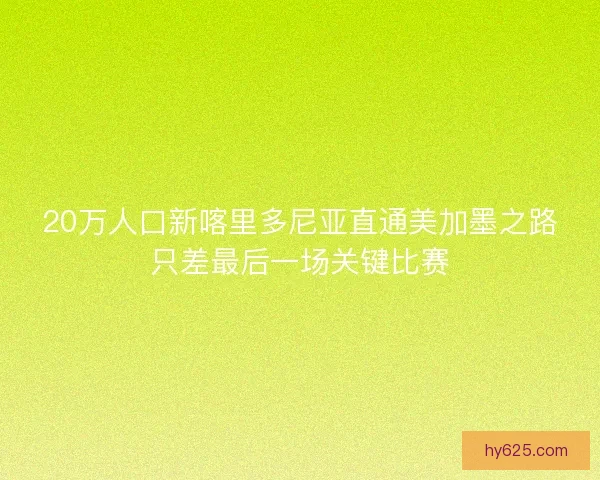 20万人口新喀里多尼亚直通美加墨之路只差最后一场关键比赛